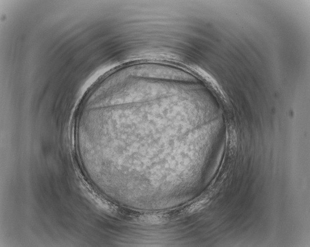 X0000085241078200703231618