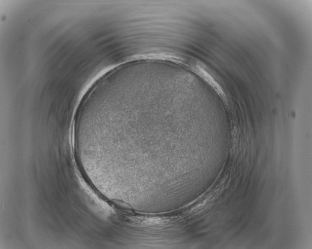 X0000085241084200703231618