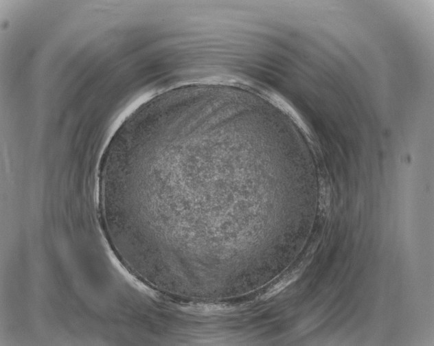 X0000085241095200703231618