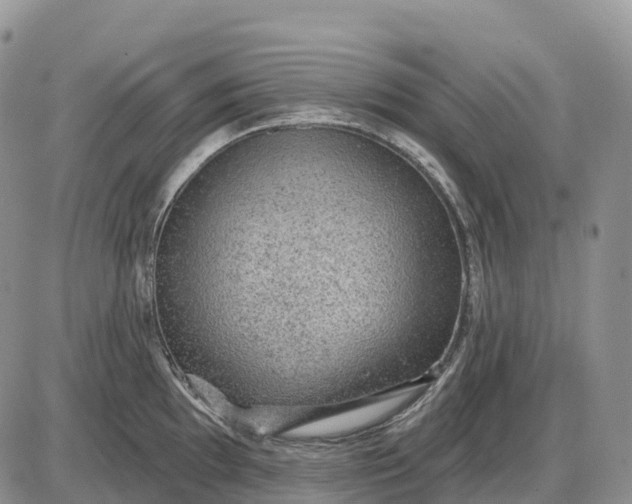 X0000085241097200703231618