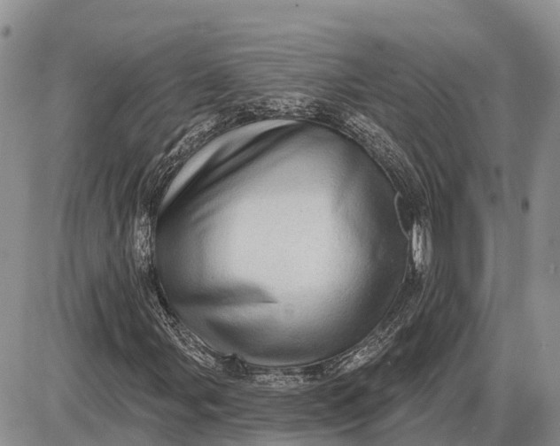 X0000085241107200703231617