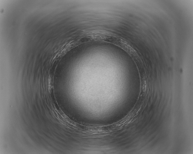 X0000085241108200703231617