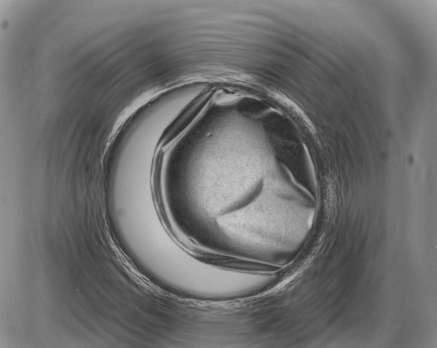 X0000085241114200703231617