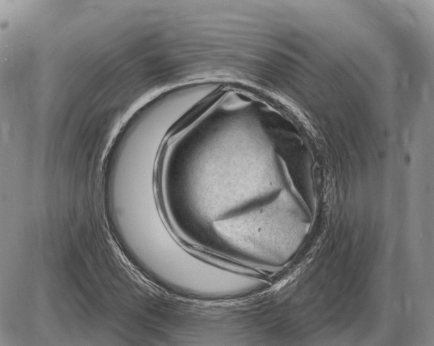 X0000085241118200703231617