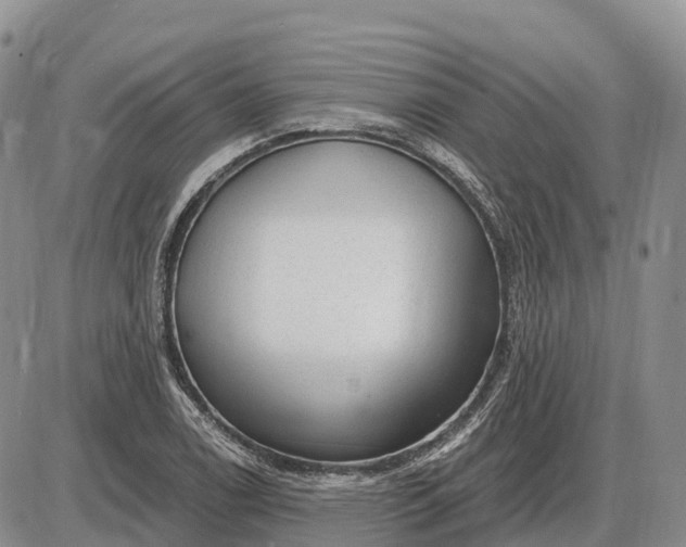 X0000085241122200703231617