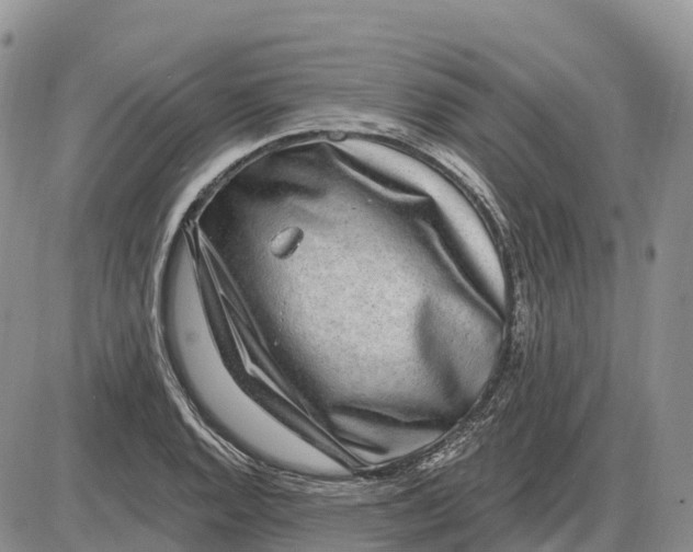 X0000085241128200703231617