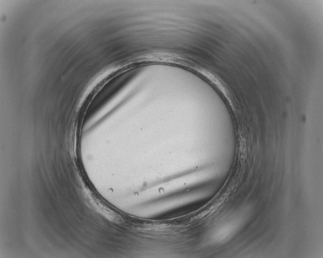 X0000085241131200703231617