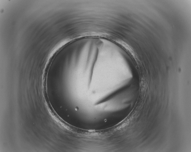 X0000085241135200703231617
