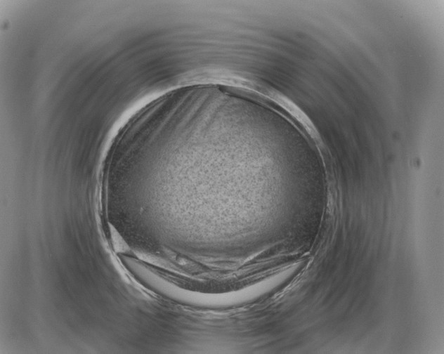 X0000085241144200703231617