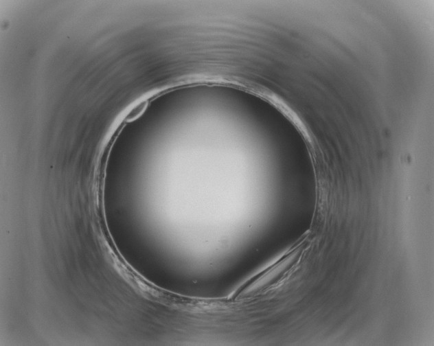 X0000085241148200703231618