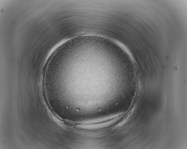 X0000085241149200703231618