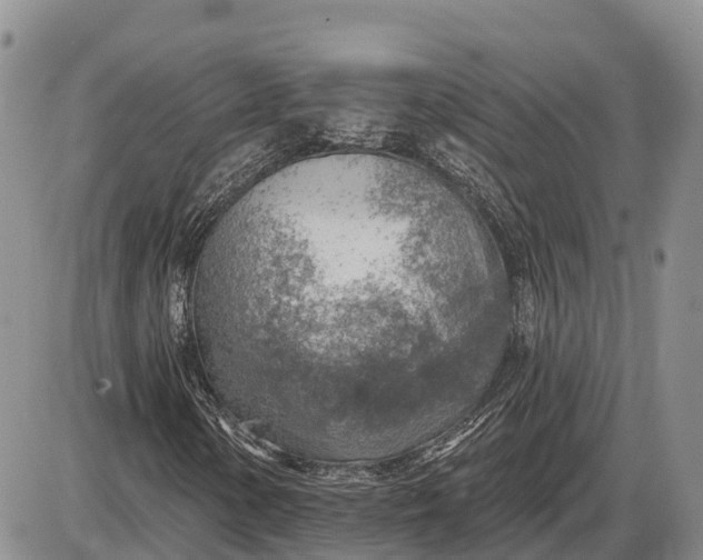 X0000085241154200703231617
