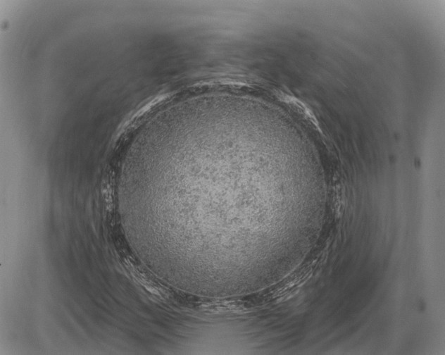 X0000085241159200703231617