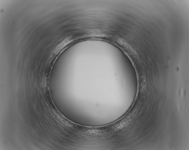 X0000085241169200703231617