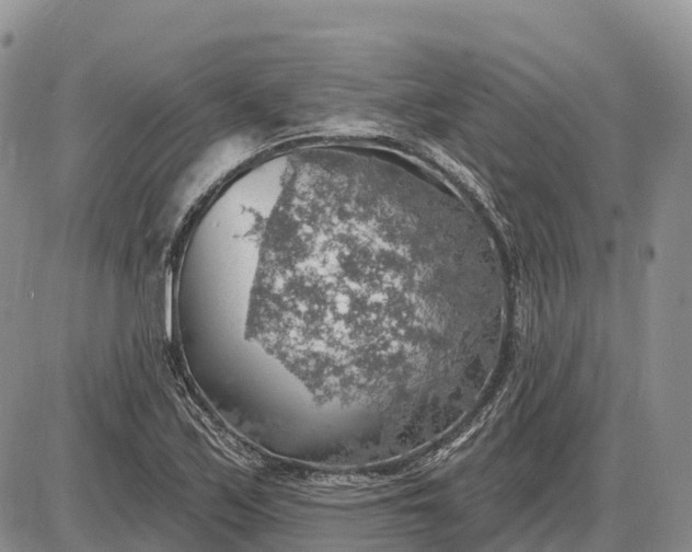 X0000085241171200703231617