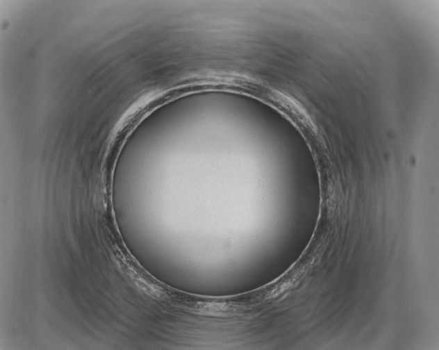 X0000085241172200703231617