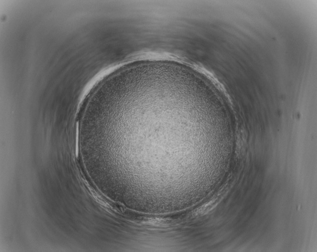 X0000085241175200703231616