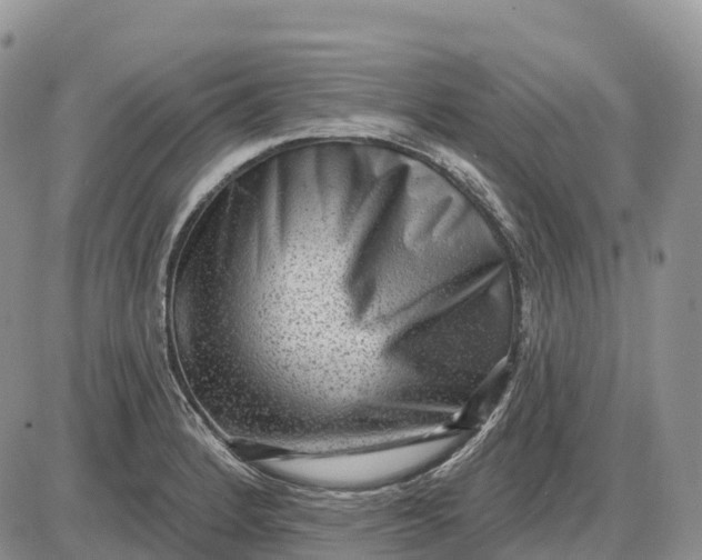 X0000085241184200703231616