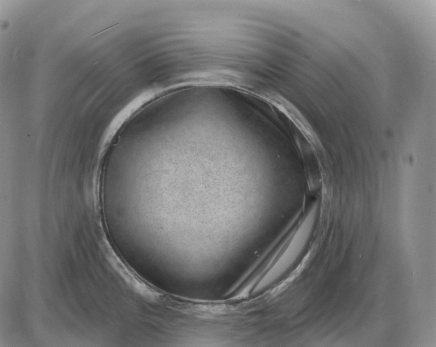 X0000085241196200703231616