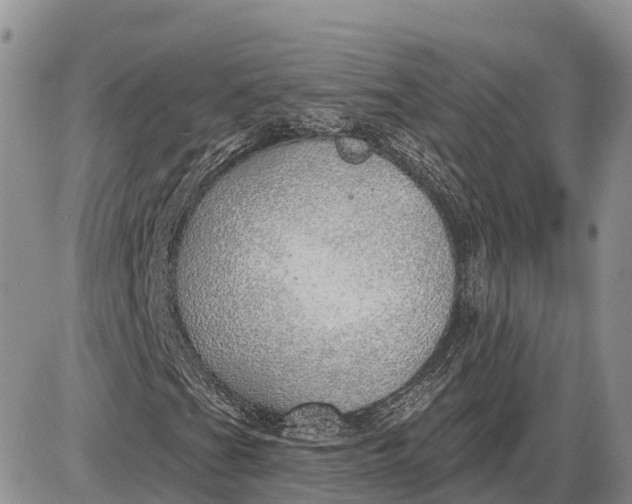 X0000085241201200703231615