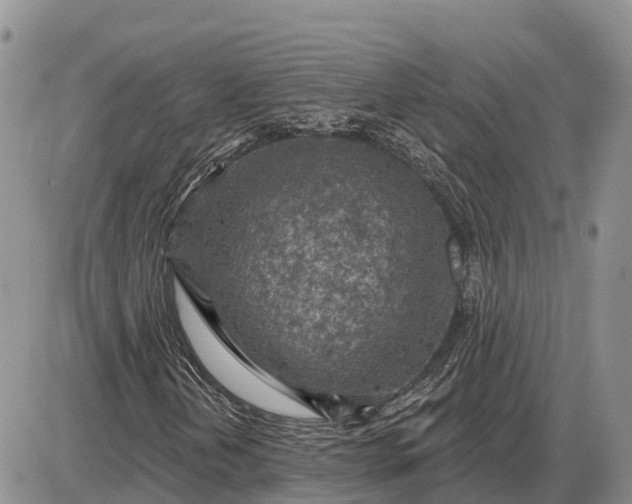 X0000085241202200703231615