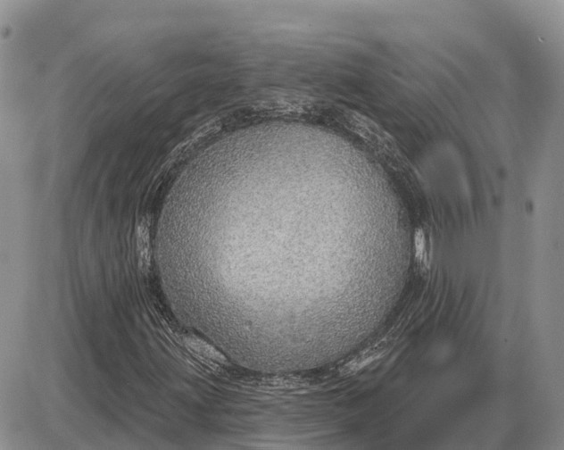 X0000085241203200703231615