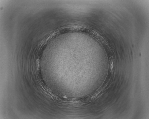 X0000085241204200703231615