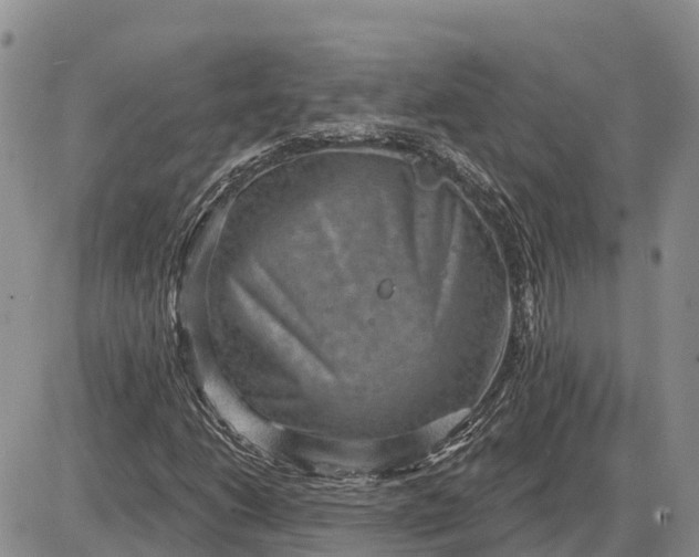 X0000085241206200703231615