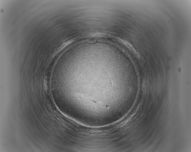 X0000085241209200703231615