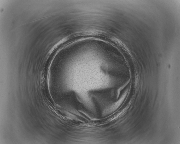 X0000085241210200703231615