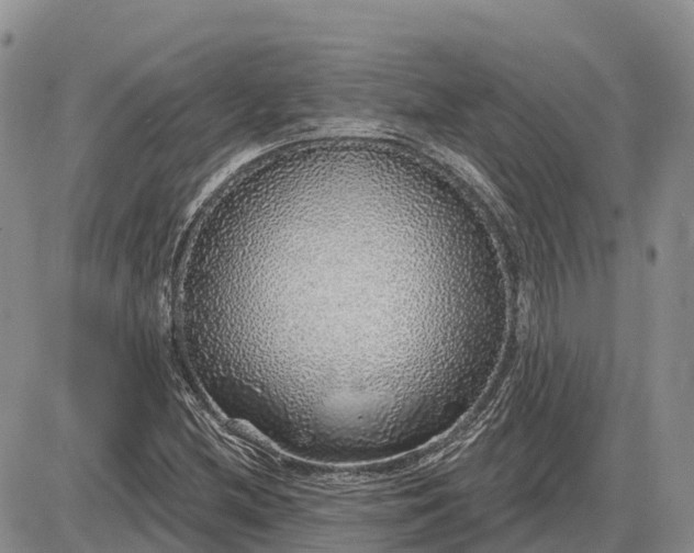 X0000085241212200703231615