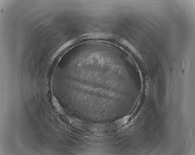 X0000085241213200703231615