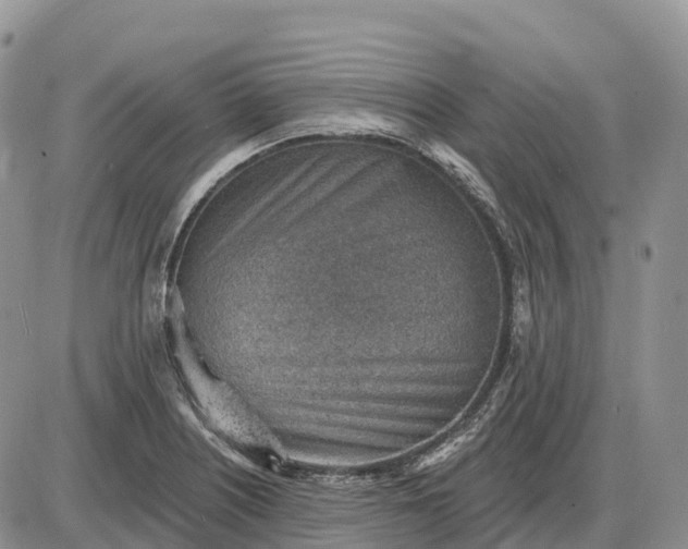 X0000085241226200703231616