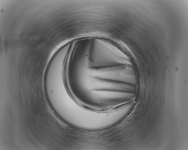 X0000085241230200703231616