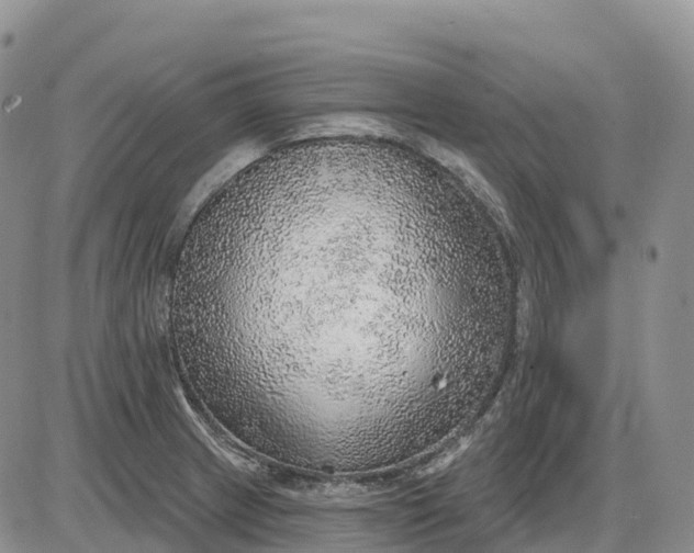 X0000085241233200703231616