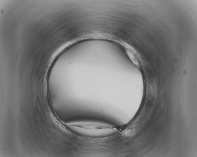 X0000085241238200703231616