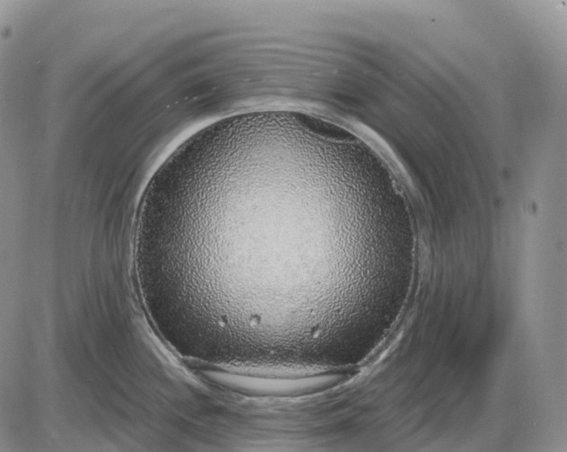 X0000085241244200703231616