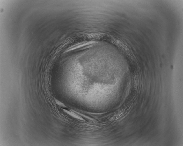X0000085241249200703231615
