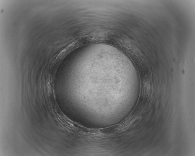 X0000085241250200703231615