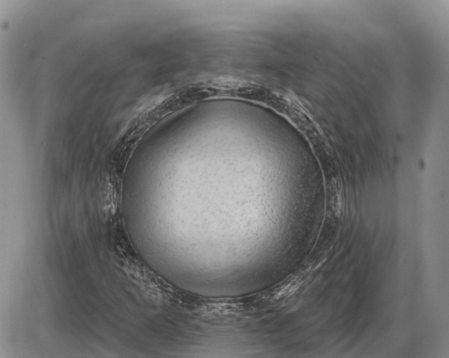 X0000085241253200703231615