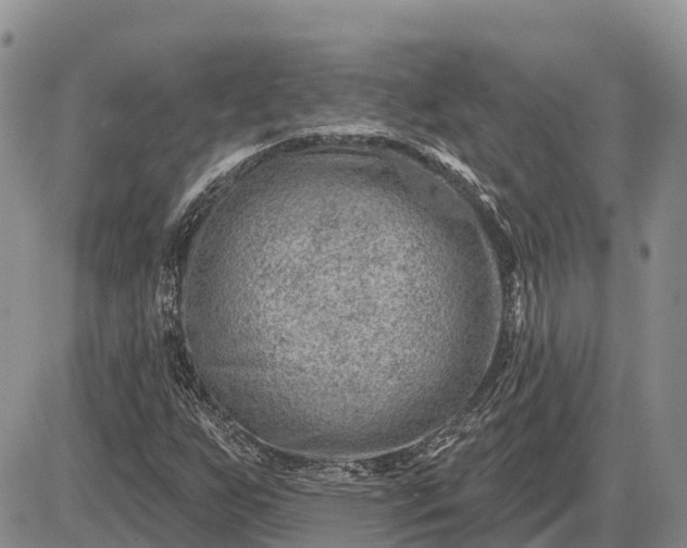 X0000085241255200703231615
