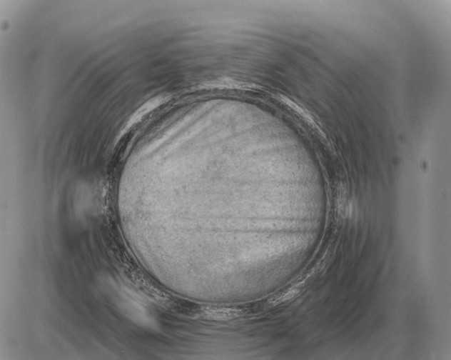 X0000085241258200703231615