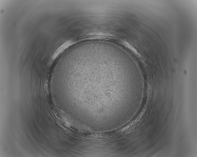 X0000085241259200703231615