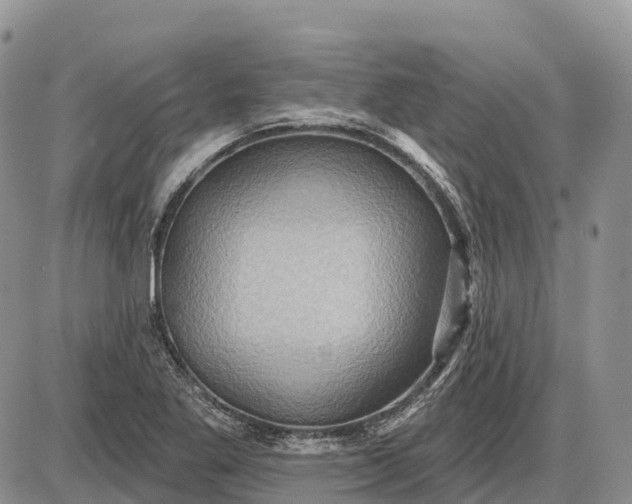 X0000085241269200703231615