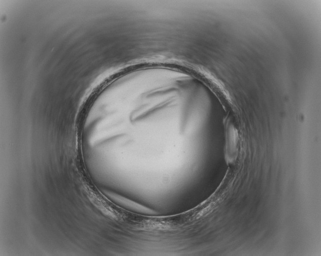 X0000085241270200703231615