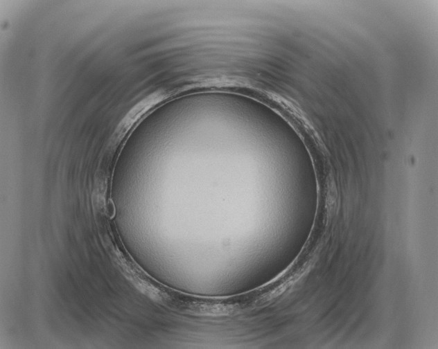 X0000085241273200703231615
