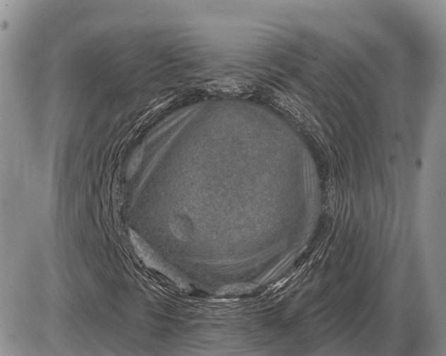 X0000085241297200703231614