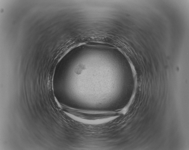 X0000085241298200703231614