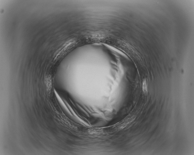 X0000085241299200703231614