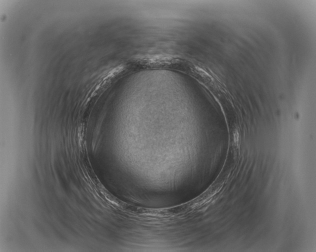 X0000085241300200703231614